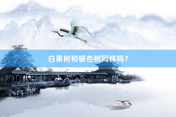 白果树和银杏树同样吗？