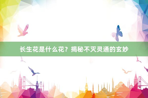 长生花是什么花？揭秘不灭灵通的玄妙